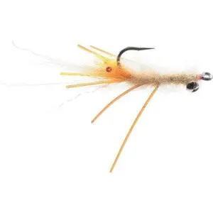 Veverka's Spawning Mantis Shrimp