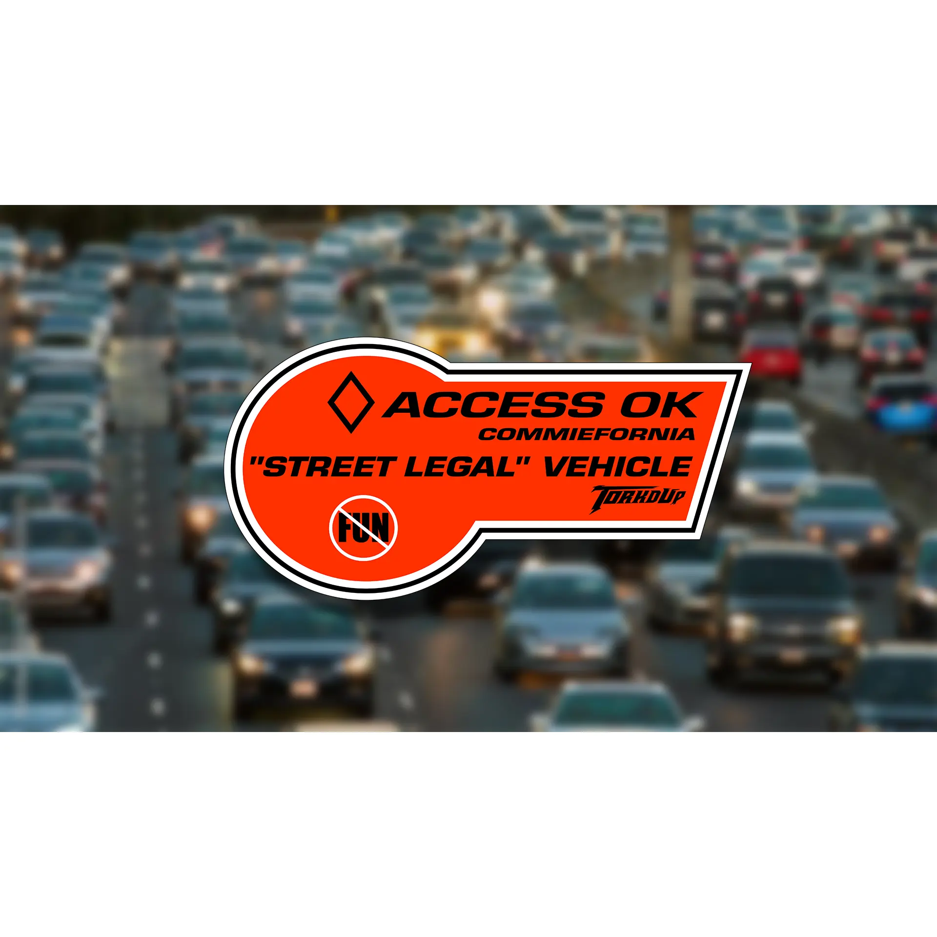 ACCESS OK Sticker