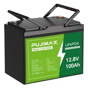 PUJIMAX 12V 100Ah LiFePO4 Lithium Battery Deep Cycle BMS for Marine Off-grid Camper