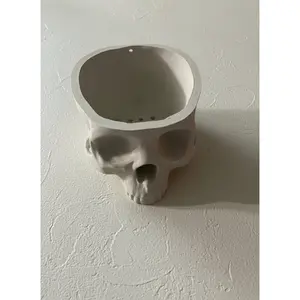 Hanging skull planter