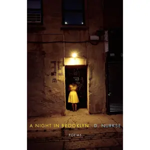 USED-A Night in Brooklyn: Poems by Nurkse, D. (Paperback)