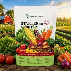 [Highly recommend] Vegetable Seed Reserve Collection - 35 Choice Pack for Home Sowing & Farming Backup Seeds Vigorous Vegetable Mix Practical Gardening Present for All Suburban Home Garden