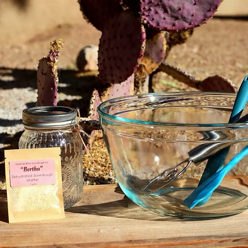 Bertha’s Sourdough Starter | Hungry, Happy & Ready to Rise
