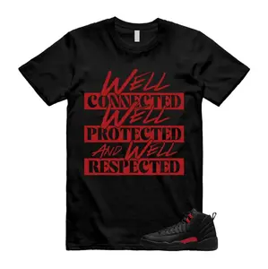 Bloodline Red Black Sneaker Outfit Tee, Bloodline 12 Outfit Shirt, Soft Cotton Unisex Streetwear Top, 100% Cotton, Gift for Sneaker Lovers