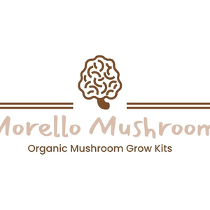Morello Mushroom