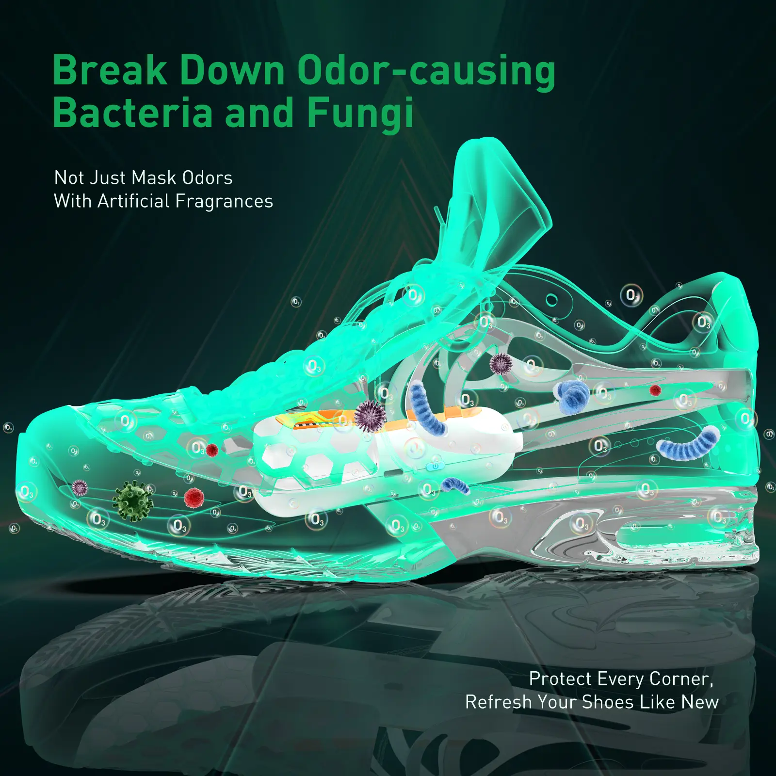 Chemical-Free Shoe Deodorizer for Sneakers, Boots, and All