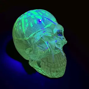 Jelly Fish Blacklight Skull