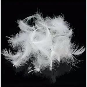 Bulk Goose Down  Stuffing & Fill -  Pillow Filling, Repair, Restuff, Fluff for Couch Cushions, Comforters, Jackets5/95-1Lb DIY
