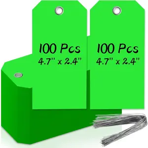 100 count 4 3/4" x 2 3/8" Neon Color Shipping Tags with Wire Blank Heavy Duty Hang Tags with Reinforcement Holes Writable Luggage Tag with String Marking Tags (Neon Green, 4 3/4" x 2 3/8")