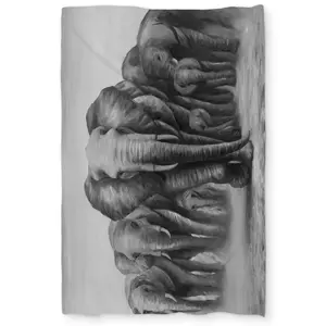 Begin Home Decor C1DCTXLWC5B8SG Herd of Elephants Twin Size Extra Long Duvet Cover - Living Room Home Decor