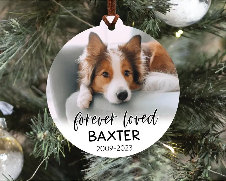 Pet Memorial Ornament with Photo, Pet Loss Ornament, Pet Portrait Ornament, Dog Memorial Ornament, Cat Memorial Ornament, Pet Loss Keepsake