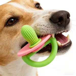 Soothing Cactus Dog Chew Toy – Ultra Soft Teething Toy for Puppies, Reduces Anxiety & Protects Furniture