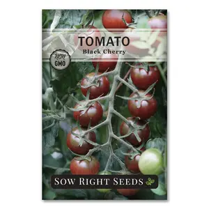 Black Cherry Tomato Seeds