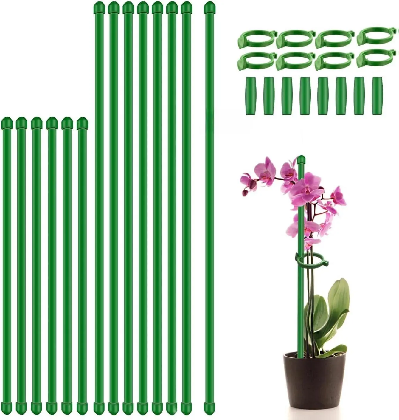 Durable Adjustable Fiberglass Plant Stakes (17in & 11in) with Clips, 20 Ties - Supports Lilies, Chrysanthemums, Tulips, Indoor/Outdoor Potted Climbing Vegetables, Boosts Durability & Growth, Supports Growth