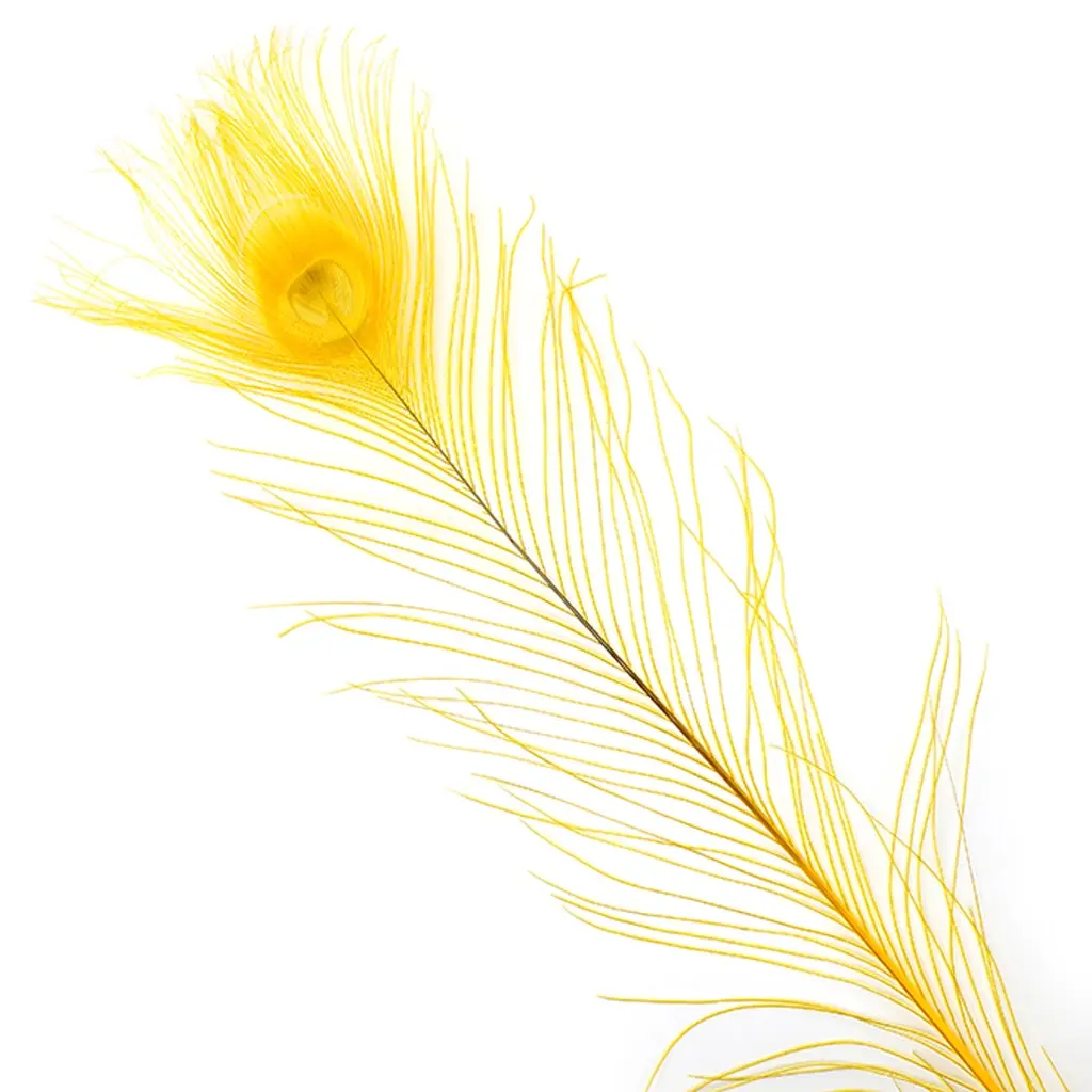 Peacock Eyes Bleached/Dyed - Gold Feathers 30-40" - 10 PC