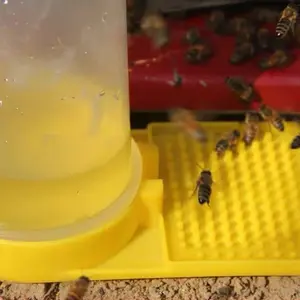 1 Piece Bee Feeder, Honey Feeder Bottle, Feeding Trough Tools are Suitable for Beehive Beekeeping, Chicken and Duck Raising