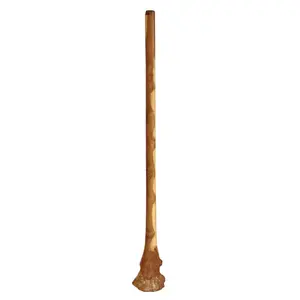 Didgeridoo Eucalyptus Root 60 inch
