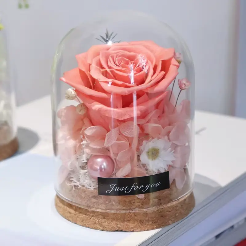 Gifts for Her Wishing Bottle Exclusive Eternal Roses Preserved Flower in Glass Immortal Love Gifts for Xmas Birthday Valentine AINYROSE