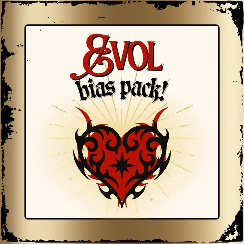 Evol K-pop bias packs - postcard photocard stickers pins prints bracelet freebies