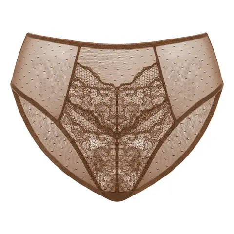 HSIA Enchante Floral Lace Sheer Mesh Back High-Rise Brief Matching Panty Underwear
