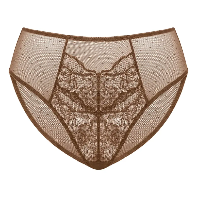 HSIA Enchante Floral Lace Sheer Mesh Back High-Rise Brief Matching Panty Underwear