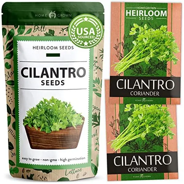 500+ Cilantro Seeds for Planting Indoors or Outdoors - Heirloom, Non-GMO Coriander Seeds, Grow Your Own Cilantro Plant - Culinary Herb Seeds for Your Herb Garden