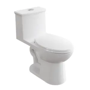 One Piece Toilet with Soft Close Seat, Toilet Bowl for Bathroom, Dual Flush,CUPC Certified, Water Efficient 0.8/1.28 GPF