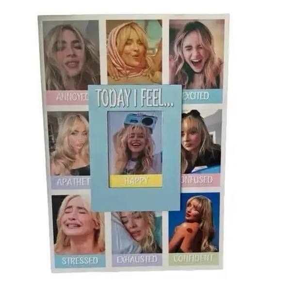 Sabrina Mood Magnet , Pop Star Feelings Chart Magnet, Shortnsweet, Decor, Music Lover Gift, Mood Board