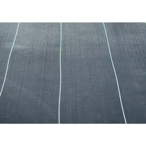 Riverstone Industries RSI-GC-6100 6 x 100 ft. Commercial All Weather Landscaping Ground Covering