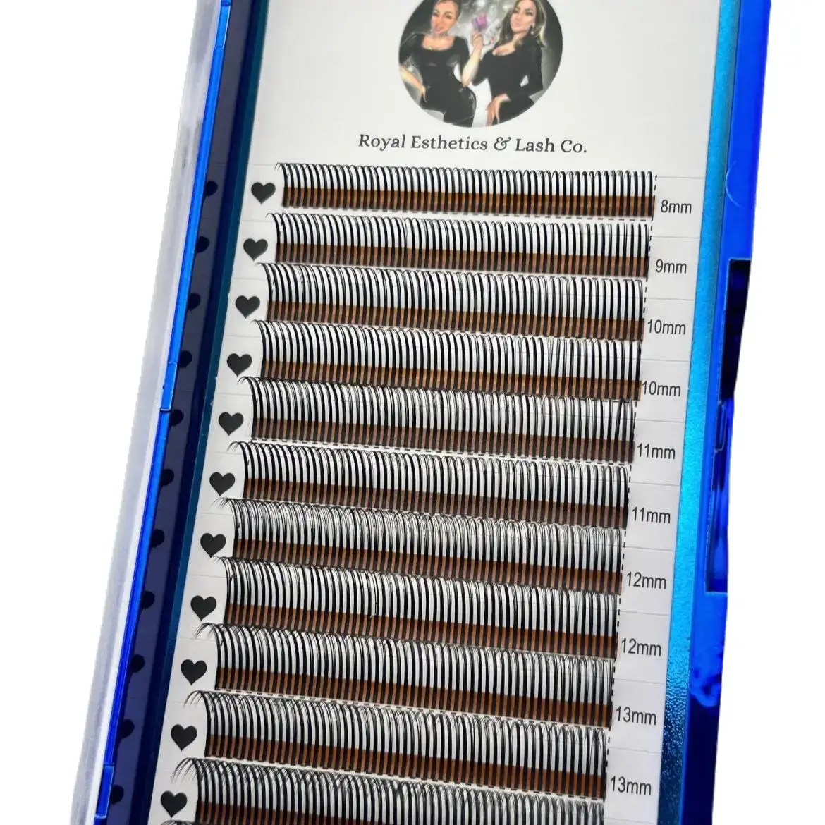 Promade Wet Set Eyelashes Extensions, 5D Volume Fans for Dramatic Volume and Spiky Looks, Korean PBT Lashes, 0.07mm, 8-15mm Mixed Tray