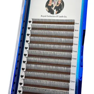 Promade Wet Set Eyelashes Extensions, 5D Volume Fans for Dramatic Volume and Spiky Looks, Korean PBT Lashes, 0.07mm, 8-15mm Mixed Tray
