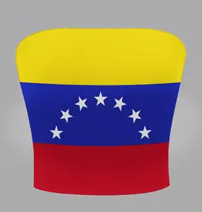 Plus Size Contrast Stripe & Star Print Bandeau Top