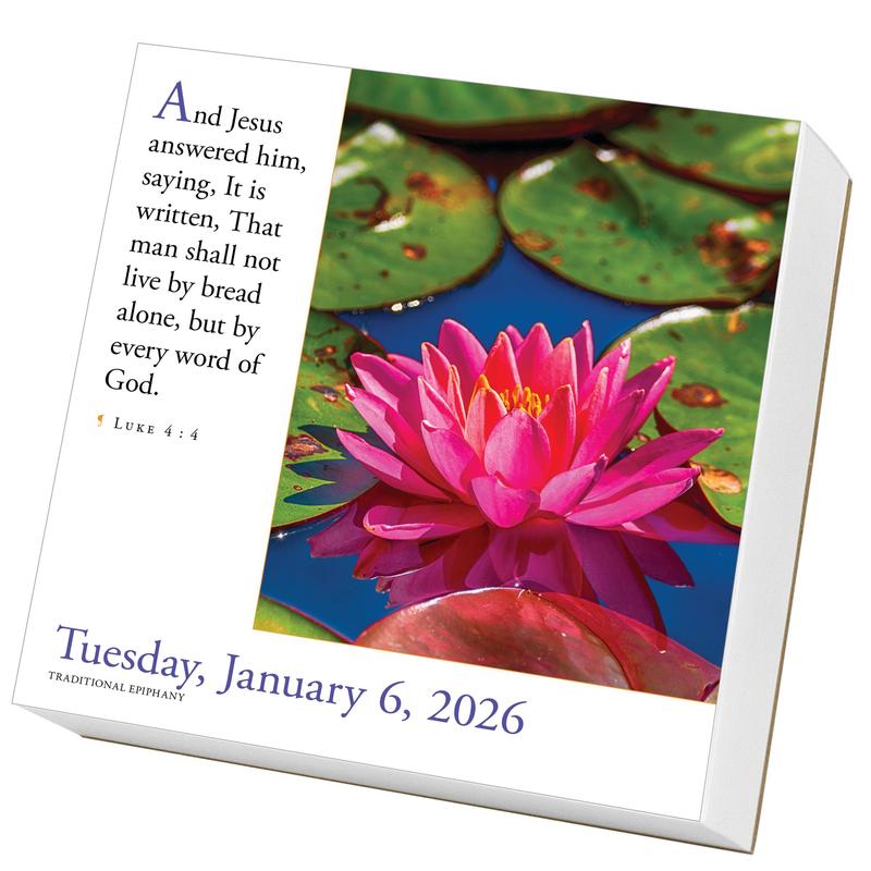 365 Bible Verses-A-Year Page-A-Day® Calendar 2026