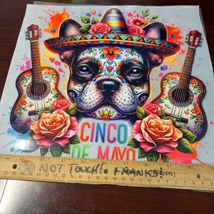 1 Dtf transfer  Cinco de Mayo vibrant colors guitar flowers Ready to Heat Press transfer film