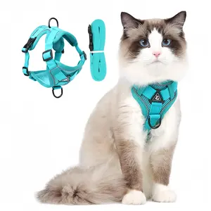 Universal Pet Harness Leash, Reflective Breathable Dog Vest, Anti-Slip Adjustable Cat Harness, Soft Mesh Coat with Night Light Strip