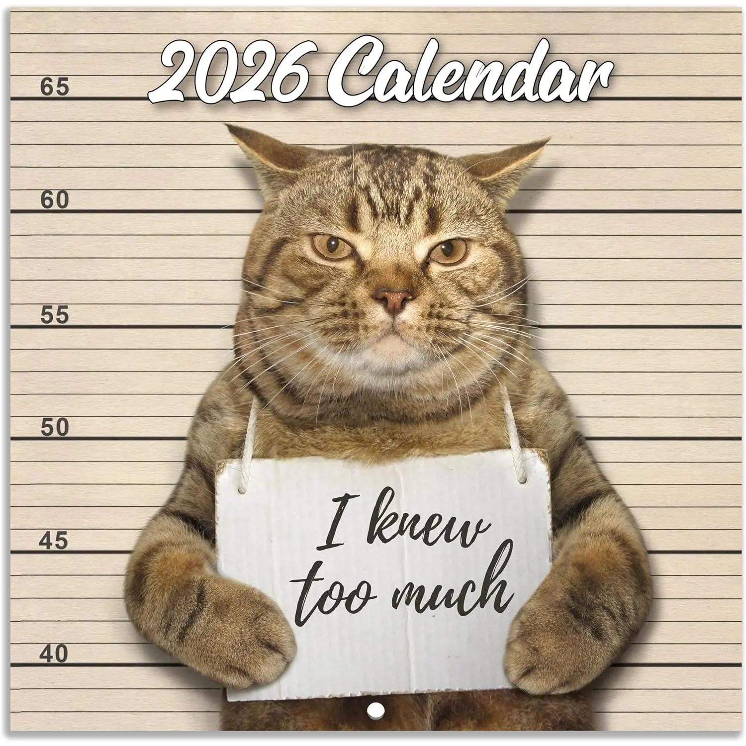 2026 Wall Calendar - January 2026 - December 2026, Funny  Calendar 2026, 12 Months Calendar, Funny  Memes Pics, 12" x 24" Opened