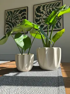Beige Concave Ceramic Pots (Set of 2)