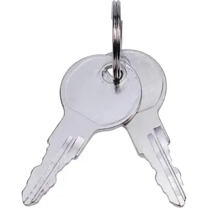 2PCS Keys 0G66240KEY Compatible with Generac Lock 0G6624 0G66240