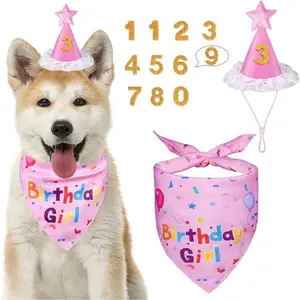 Dog birthday headscarf set, dog birthday party supplies, including XS, S and puppy-sized dog boy and girl birthday party hats (pink)