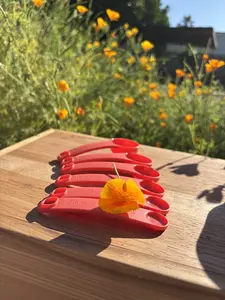 Cucharas medidoras set measurement tool