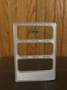 Earring Organizer