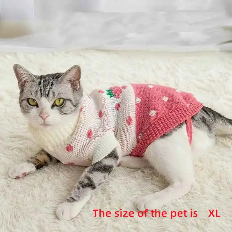 Pet Clothes, Cartoon Strawberry Pattern Pet Sweater, Cute Sweater for Pets, Autumn and Winter Clothes for Pet, Winter Outfits Warm Knitwear for Dog &