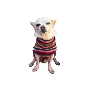 ZOEY dog sweater