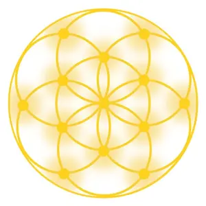 Divine Light Codes shop logo