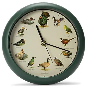 Wild Game Birds Desk Clock, 8 Inch Green with Hourly Bird Calls & Educational Display
