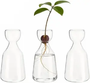 Contact customer service to claim a coupon 3 Pcs Avocado Tree Flower Vases, Small Avocado Tree Plant Pot Seed Planter, Glass Acorn Tree Growing Kit Vase, Avocado Seed Starter Vase for Home Table Desk Indoor Decor147147