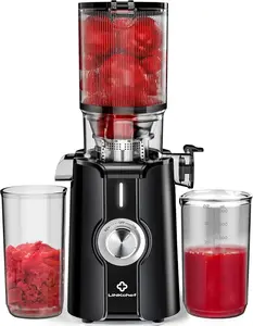 Clear Slow Masticating Juicer