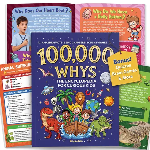 10000 Whys  Children's Encyclopedia , Primary School Students' Extracurricular Reading Book with Book Recommendations (Building The Ultimate Brain), Childrens Explains Everyday Questions, Fills Class Reading Gaps, Smart Kids