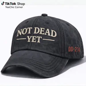 Veterans Casual Hat Wash Hat, 1776-2026 Eagle Hat, Semiquincentennial Gift Cap