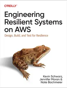 USED-Engineering Resilient Systems on AWS: Design, Build, and Test for Resilience by Schwarz, Kevin (Paperback)